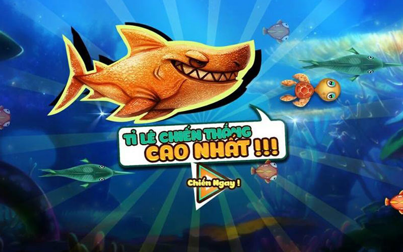 Những thông tin cung cấp tại Gamebancadoithuong.club